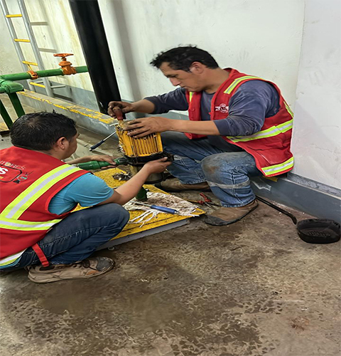 Servicio de fumigación profesional en Perú